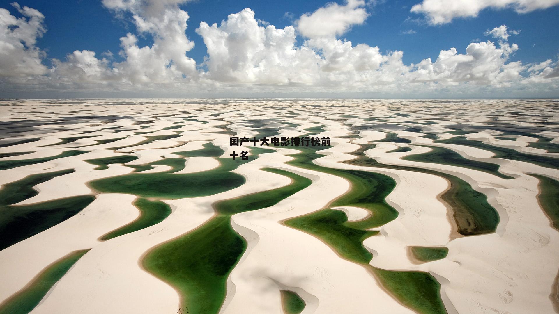 国产十大电影排行榜前十名